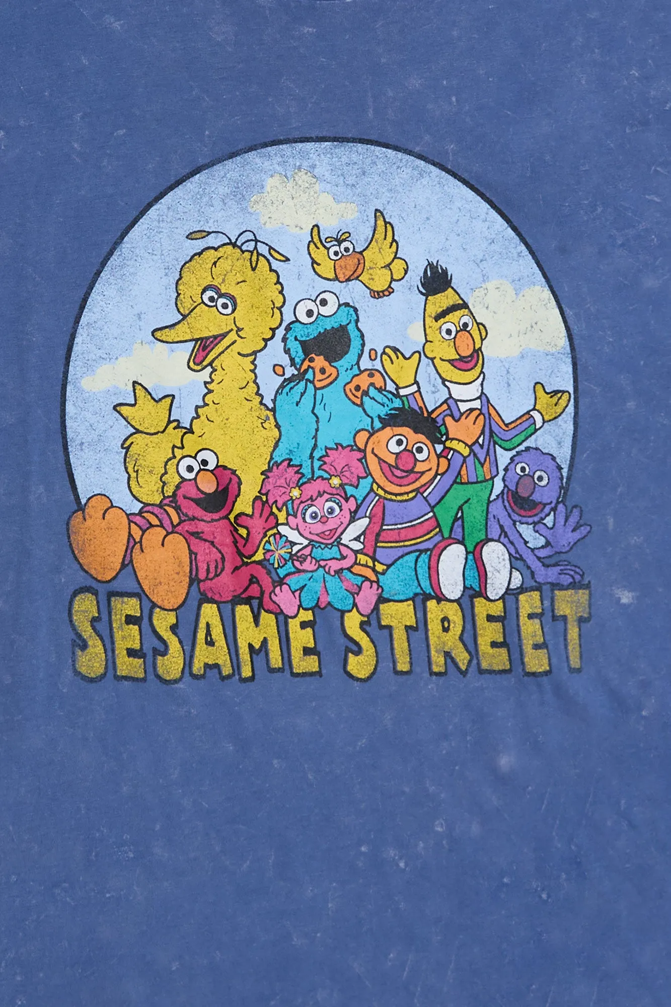 Sesame Street Graphic Acid Wash Tee